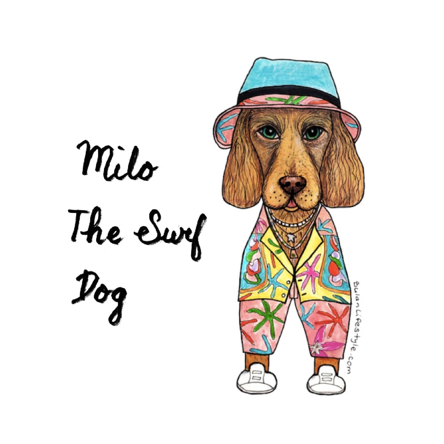 Milo the Surf dog