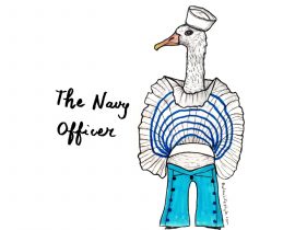 The navy officer