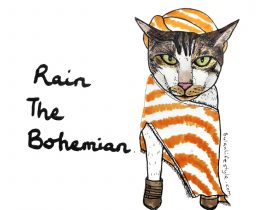 Rain the Bohemian pet portrait