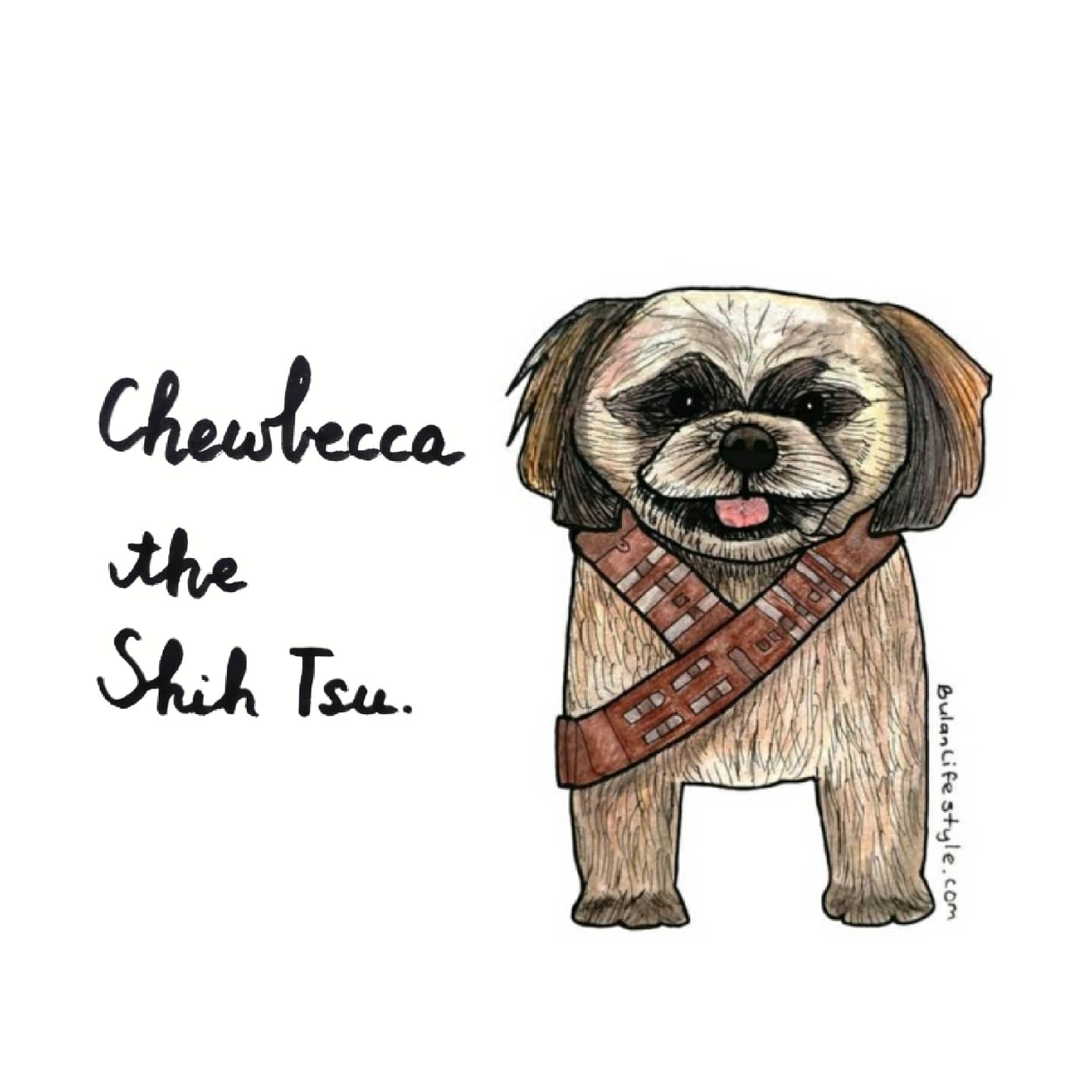 Chewbacca the Shih Tzu