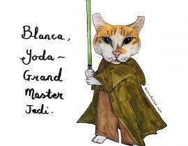 Blanca the Scottish fold as Yoda