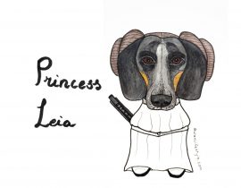 Princess Leia the sausage dog