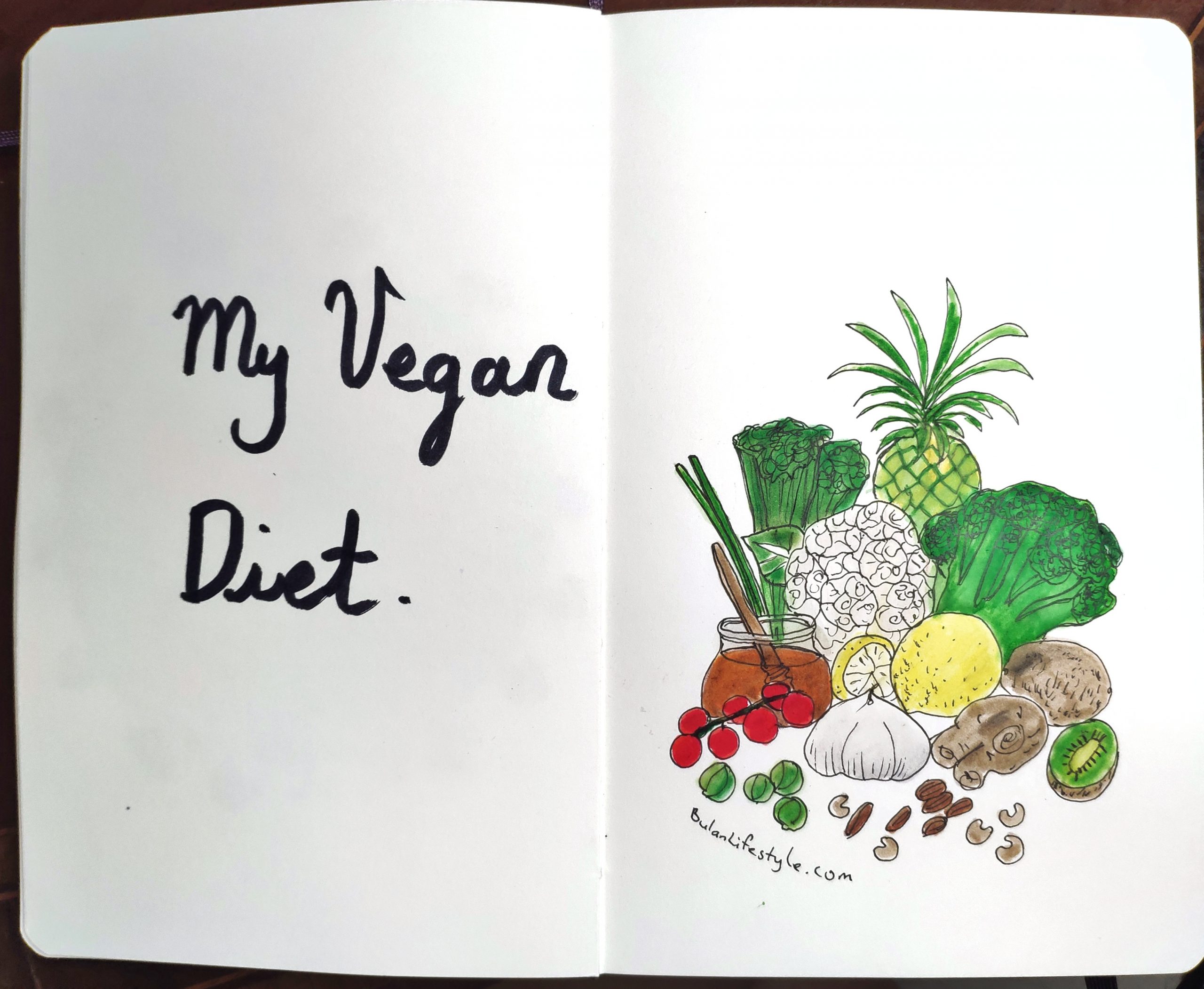 My Vegan diet