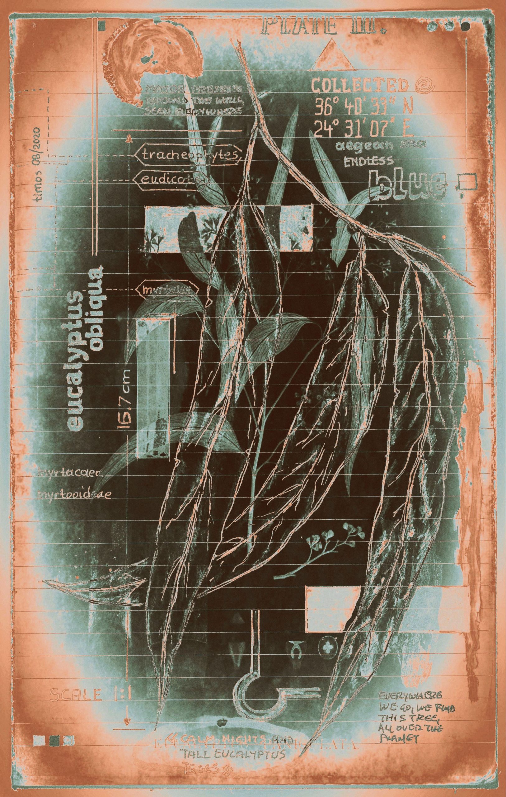 floraritum positum :: tbl a.03