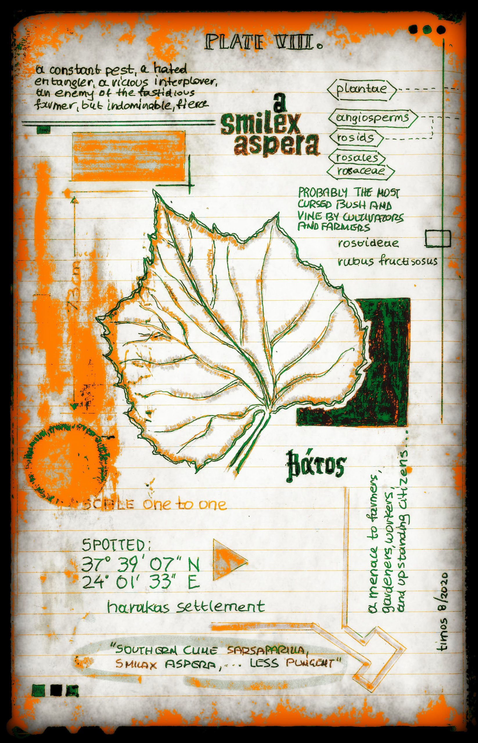 vitae verdantix planta / folio a.08