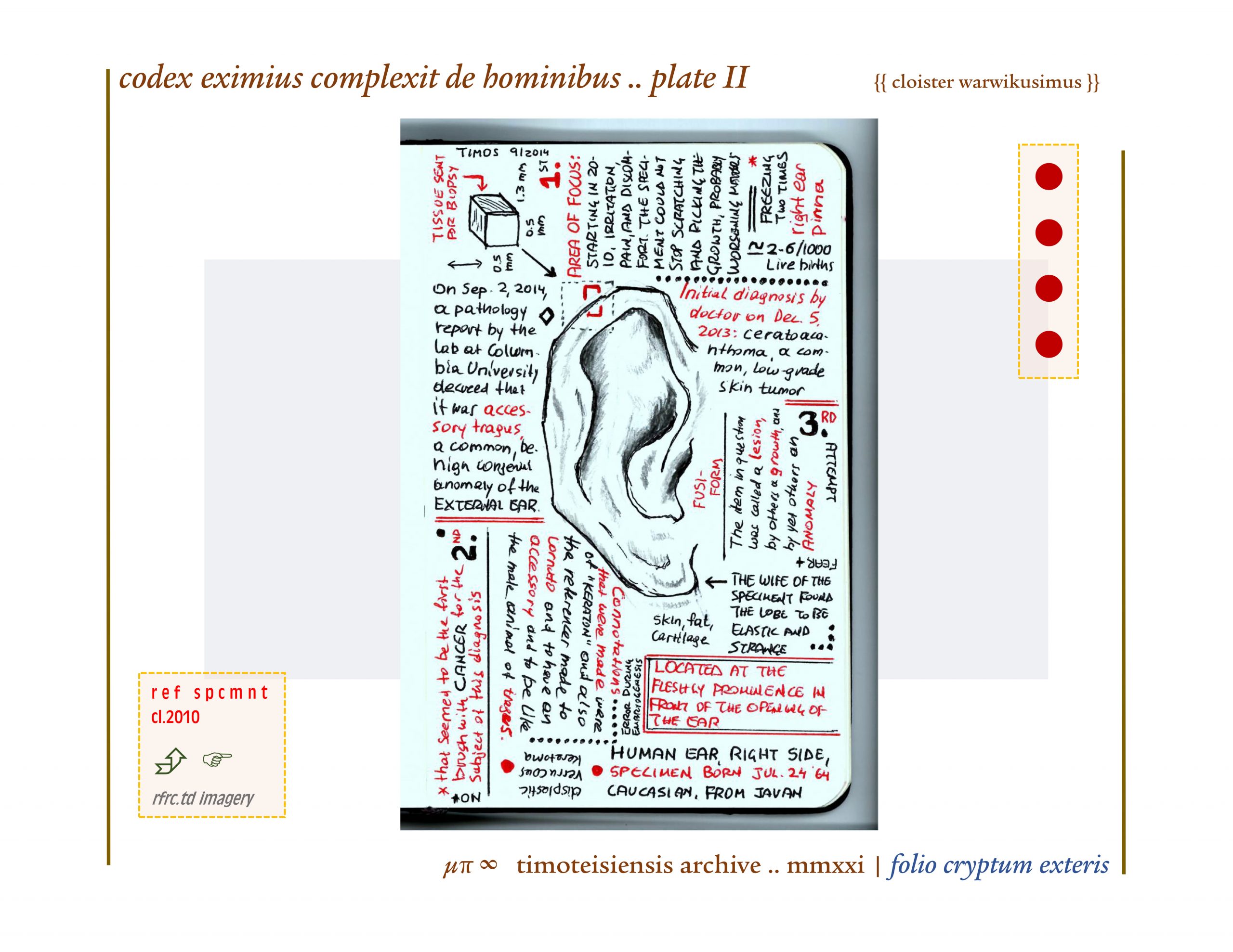 complexit de hominibus .. plate II