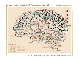 complexit de hominibus .. plate III