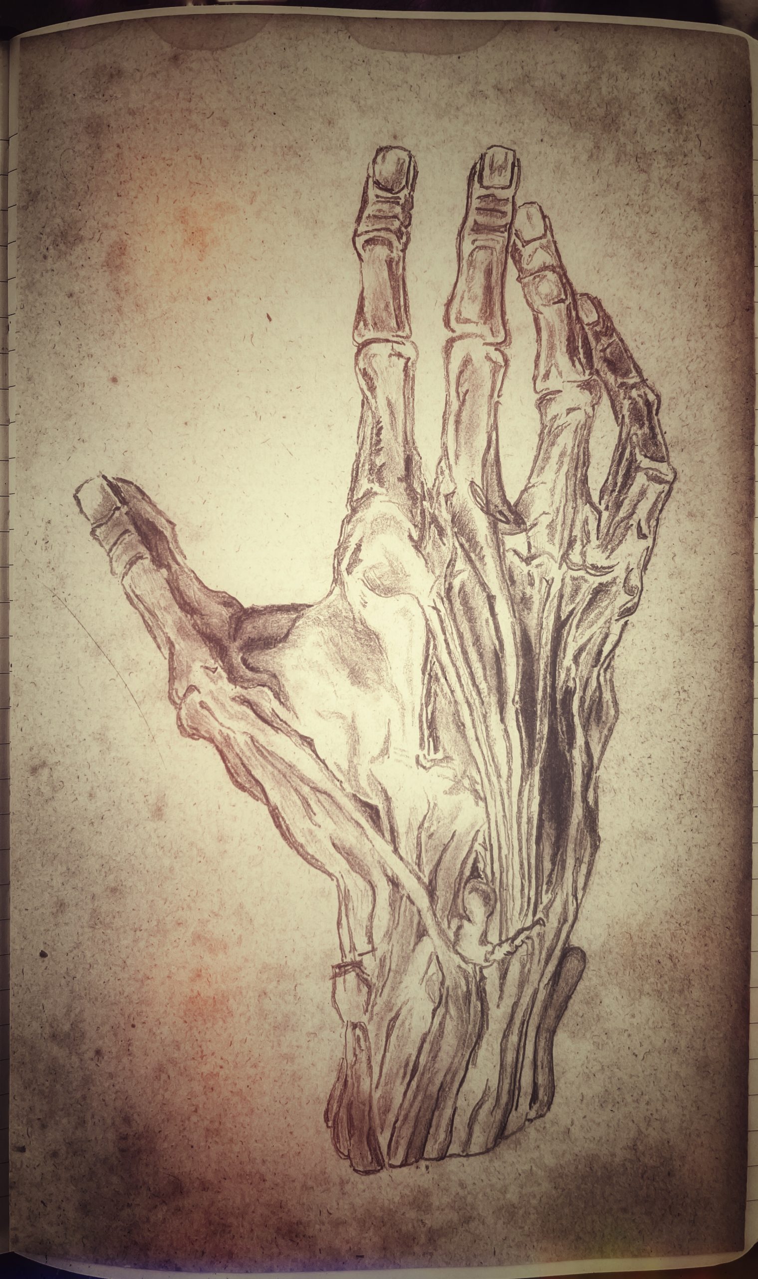 hand gesture – sketch in progress