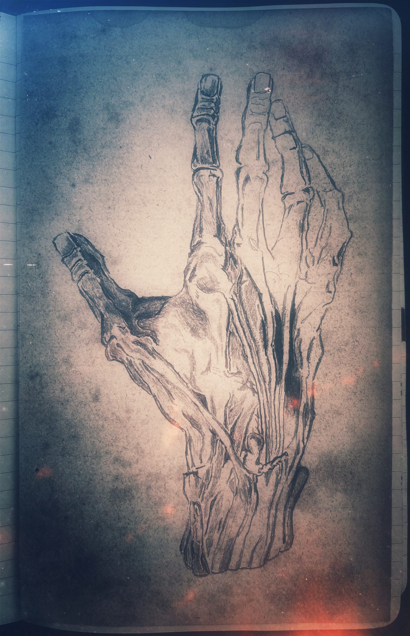 human hand, sketch in progress