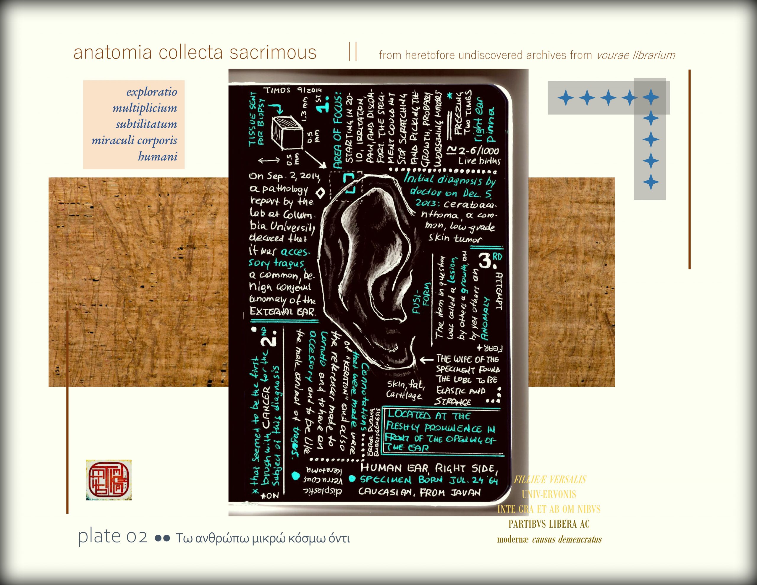 anatomia collecta sacrimous >> plate 02