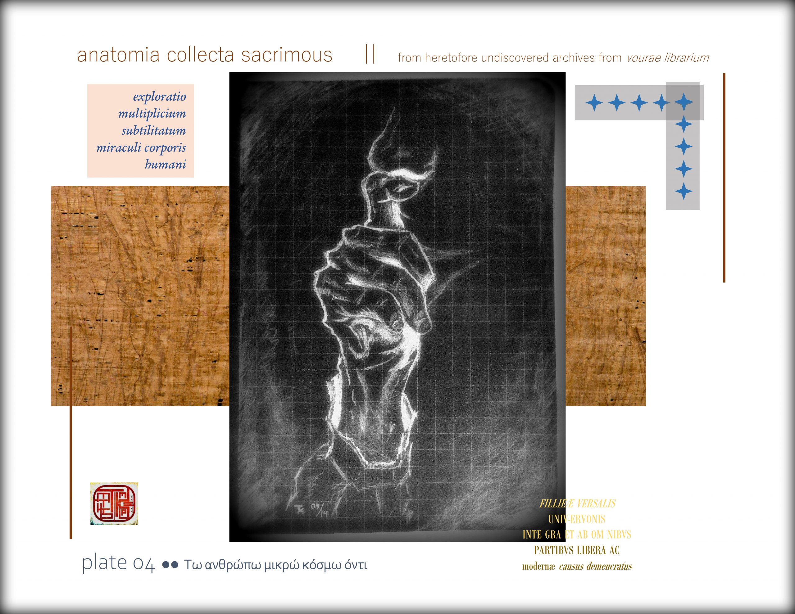 anatomia collecta sacrimous >> plate 04
