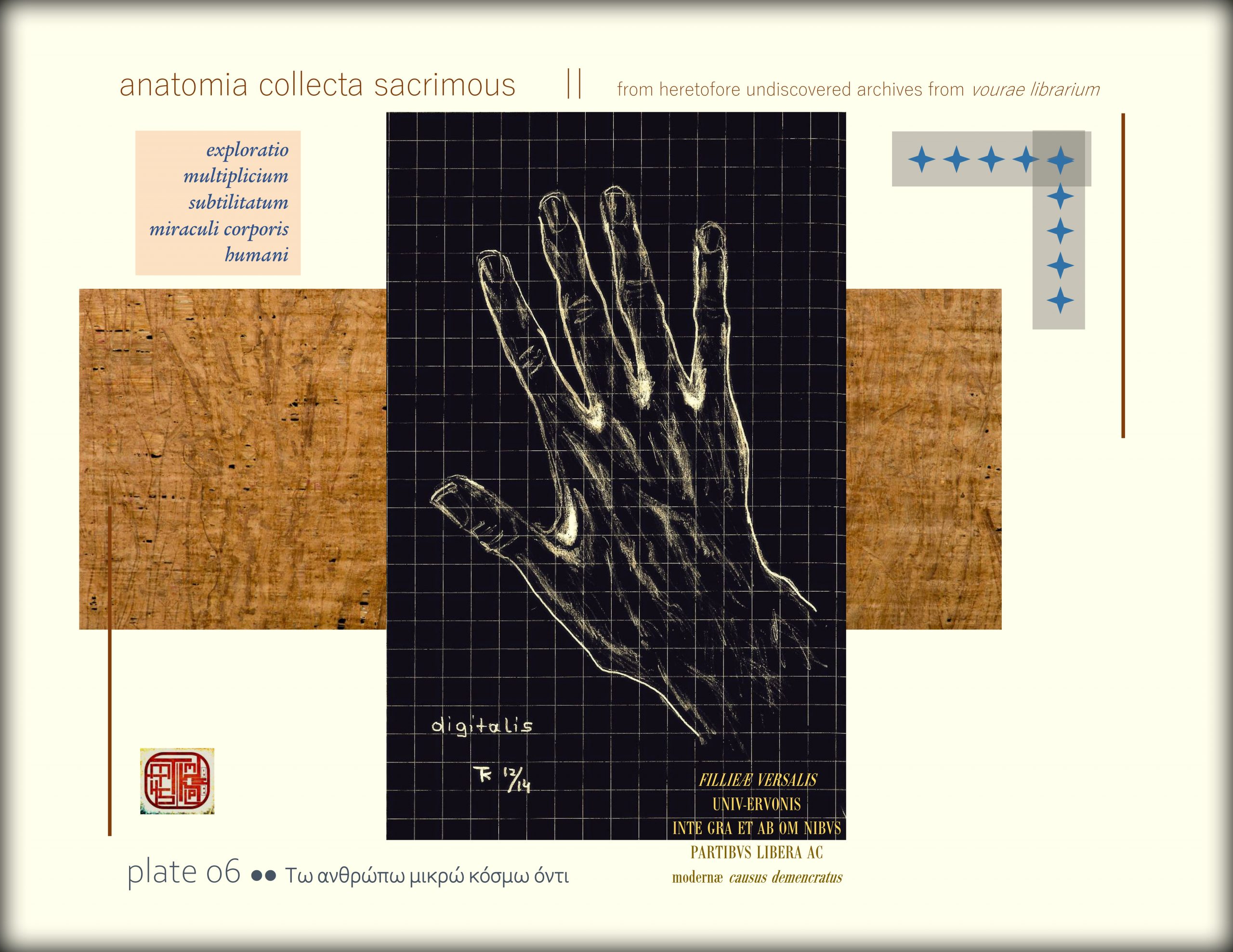 anatomia collecta sacrimous >> plate 06