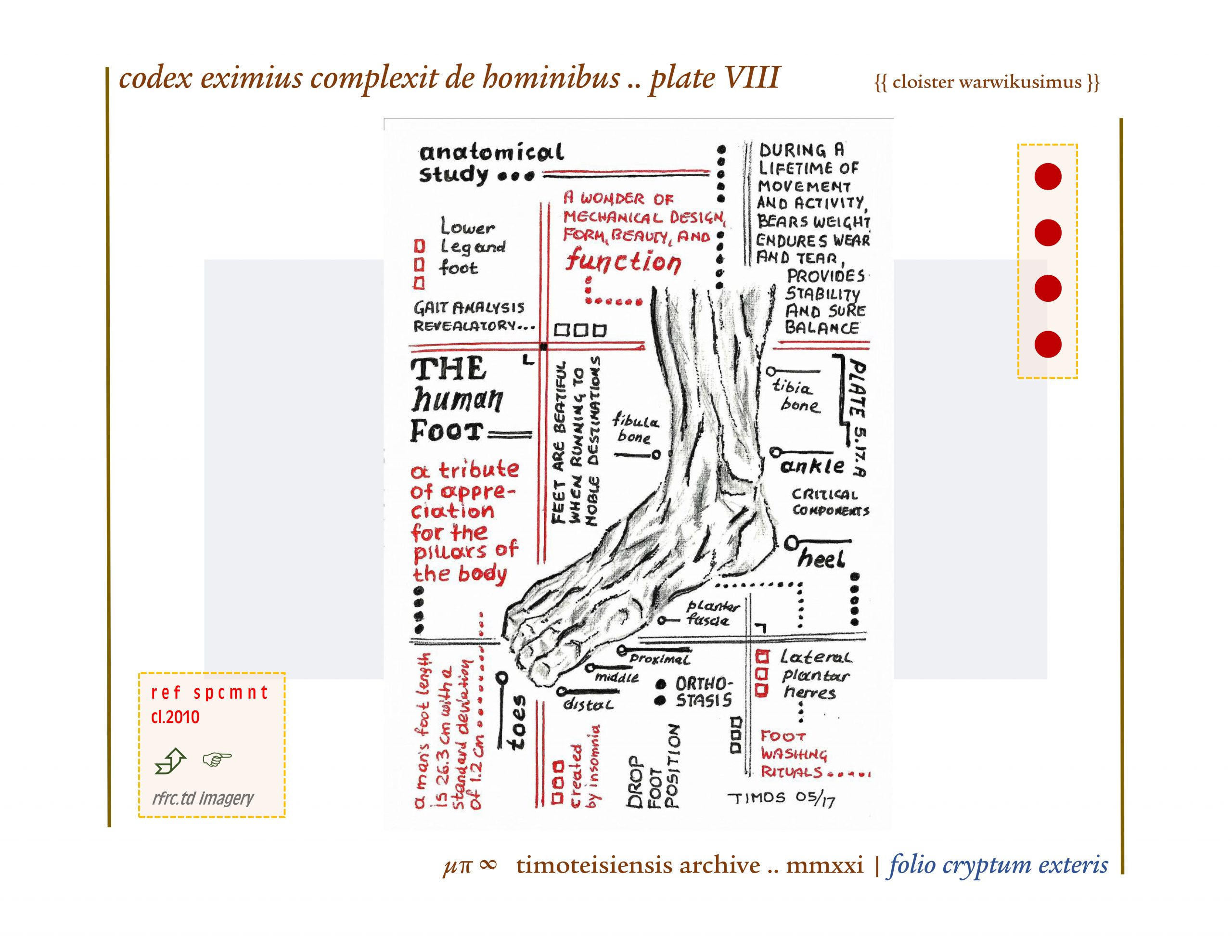 complexit de hominibus .. plate VIII