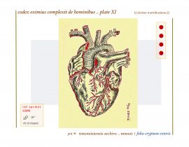 complexit de hominibus .. plate XI