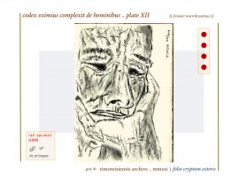 complexit de hominibus .. plate XII