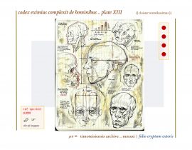 complexit de hominibus .. plate XIII