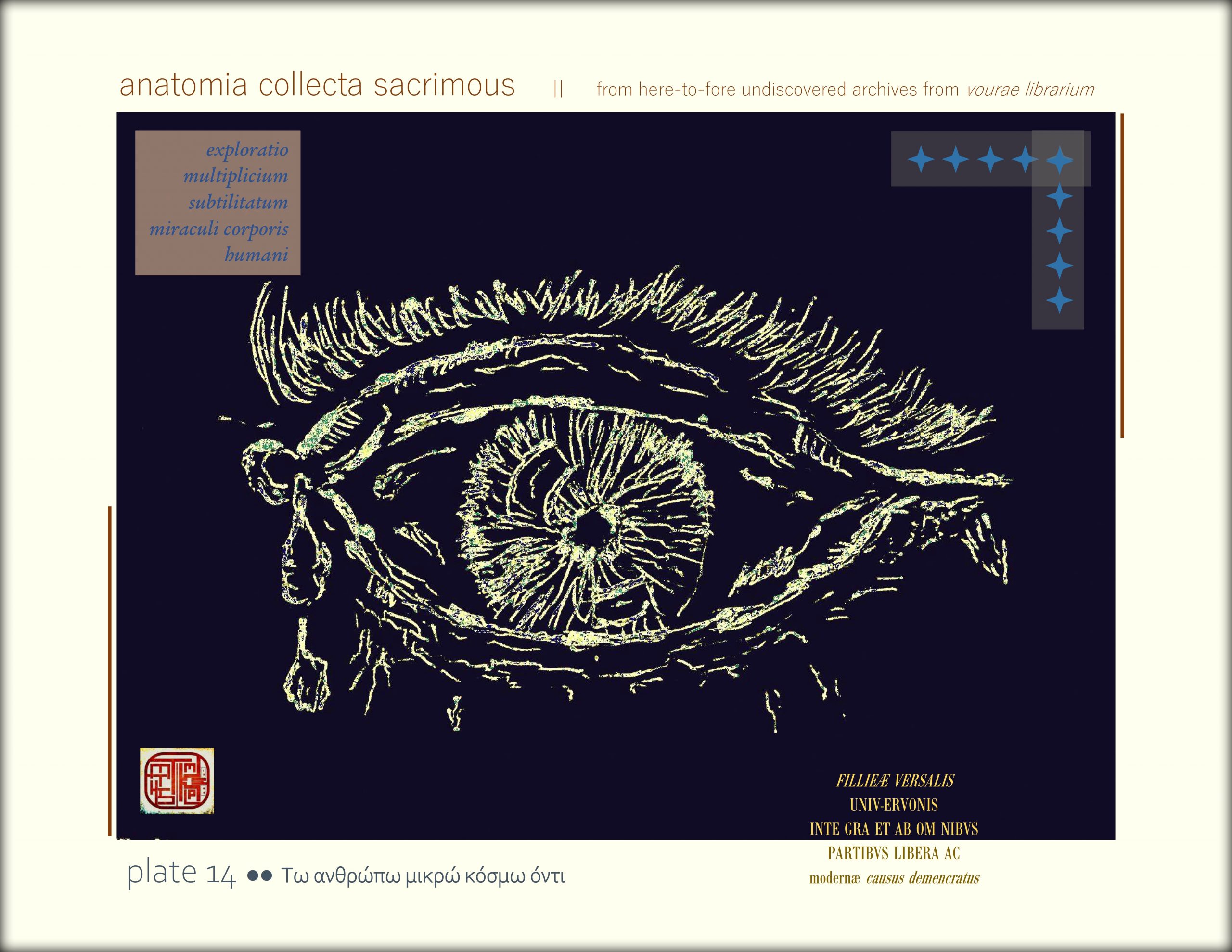 anatomia collecta sacrimous >> plate 14