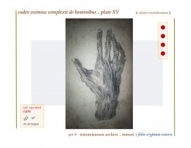 complexit de hominibus .. plate XV