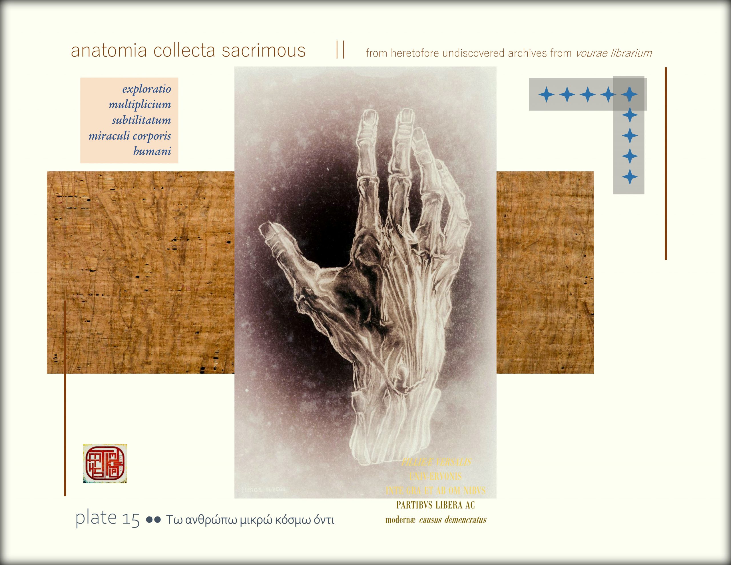 anatomia collecta sacrimous >> plate 15