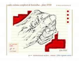 complexit de hominibus .. plate XVIII