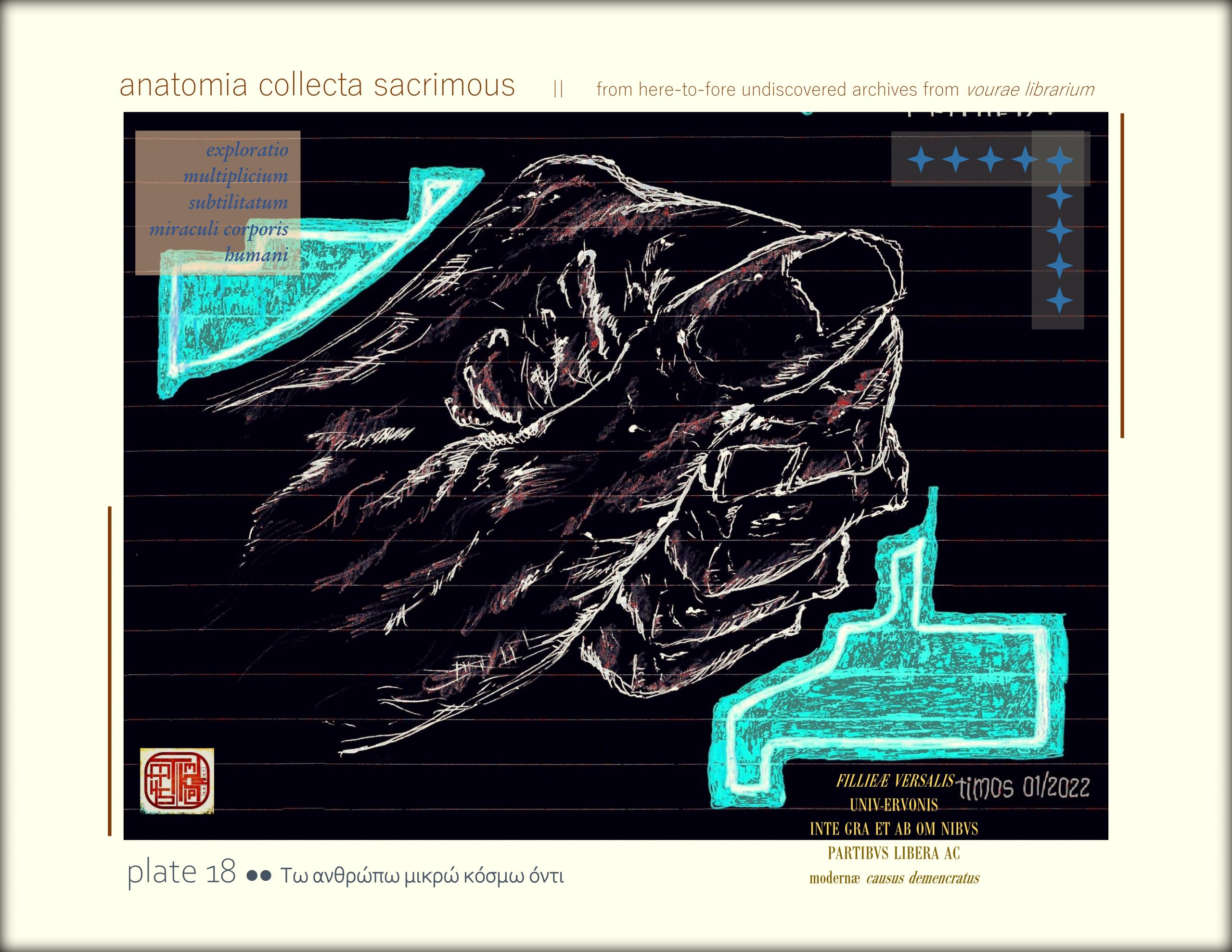 anatomia collecta sacrimous >> plate 18