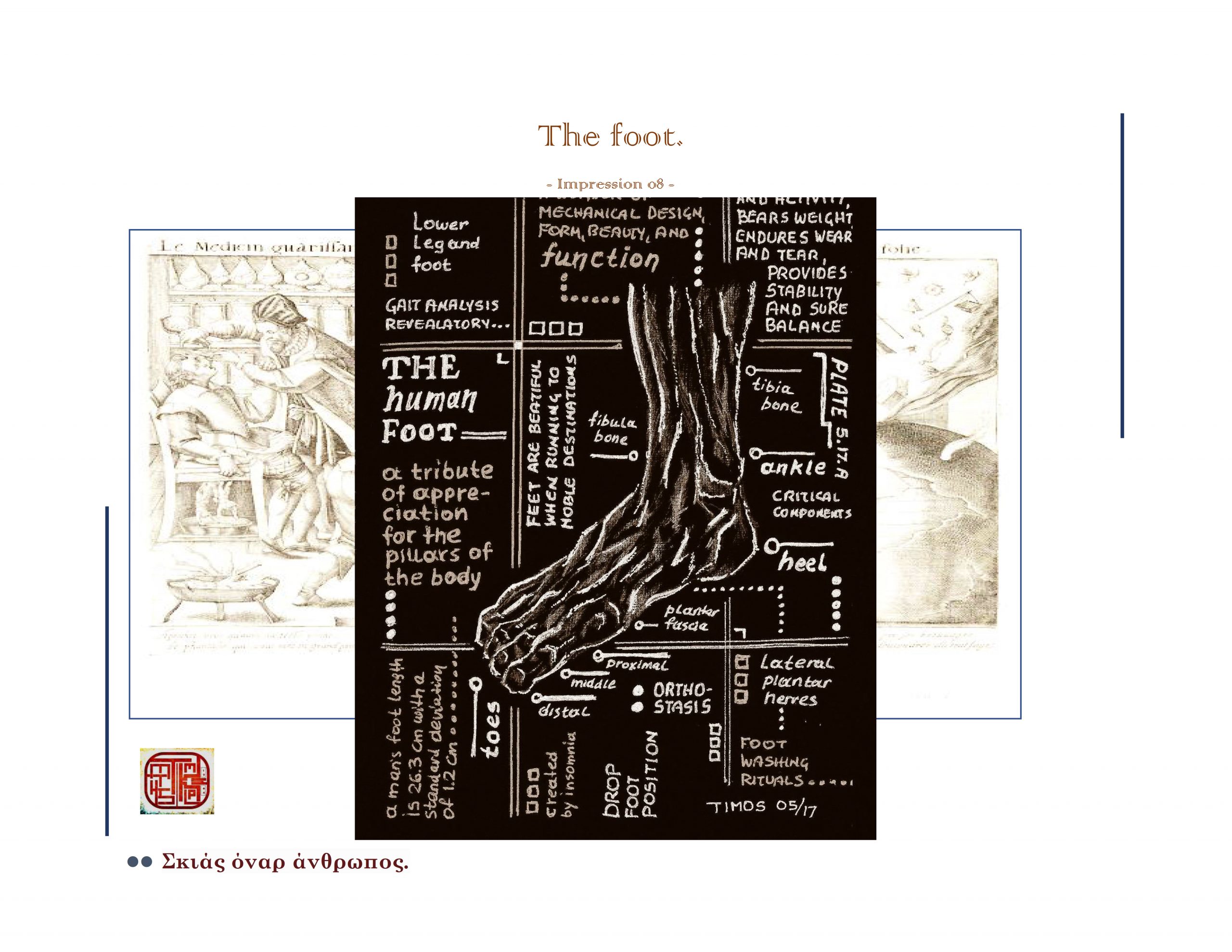 miraculi corporis humani – imprsn 08