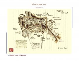 miraculi corporis humani – imprsn 09