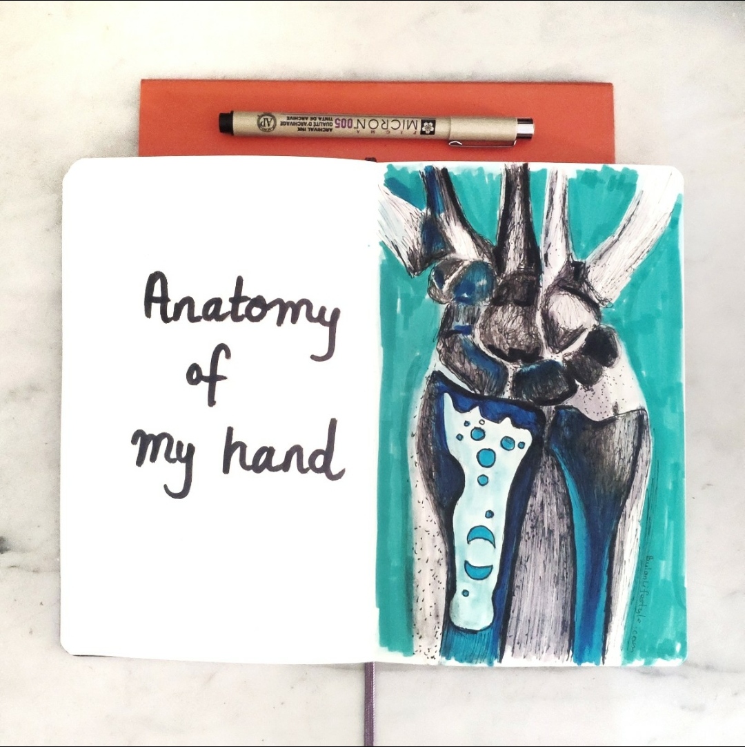 anatomy of my right hand