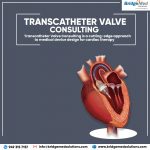 Transcatheter Valve Consulting