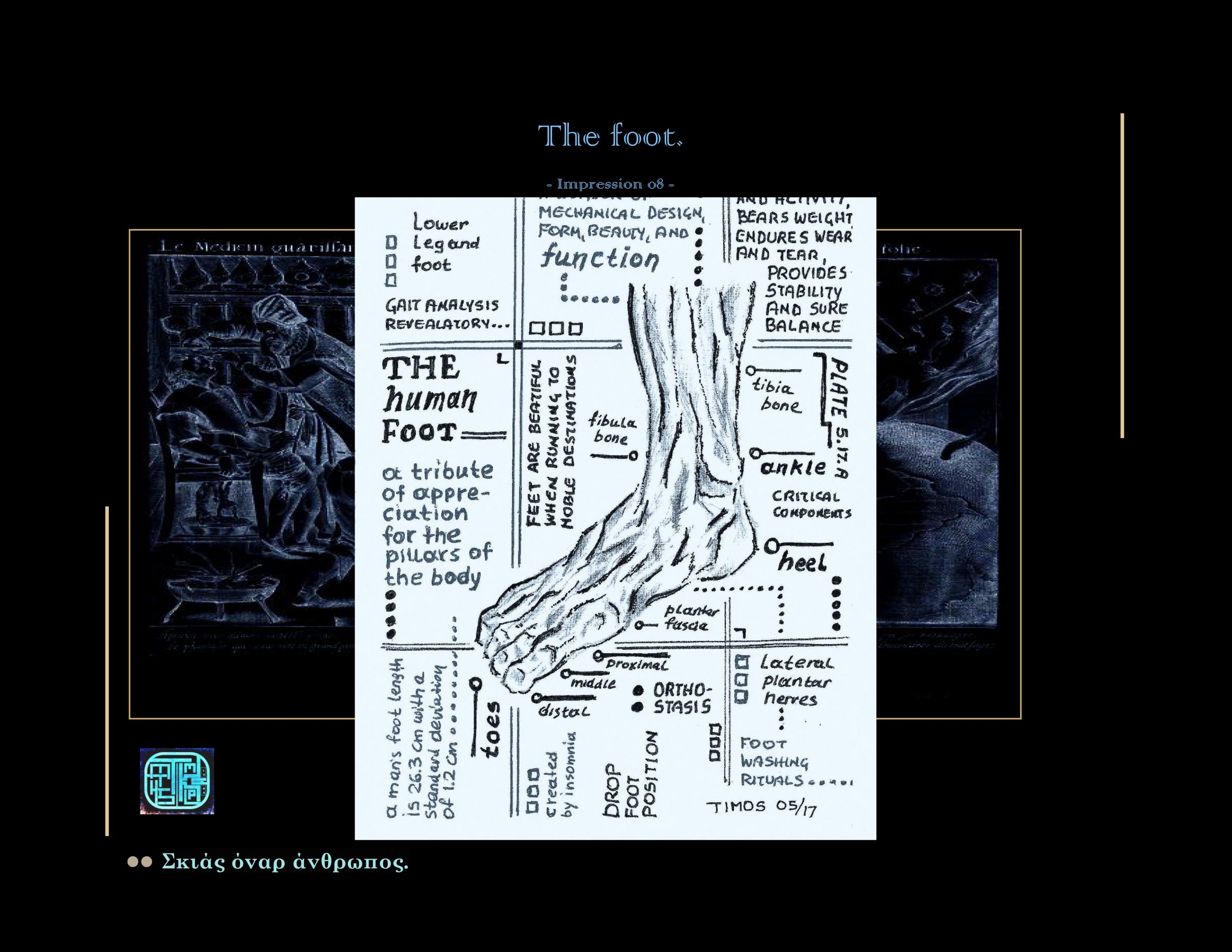 eximus complexit de hominibus – bld h