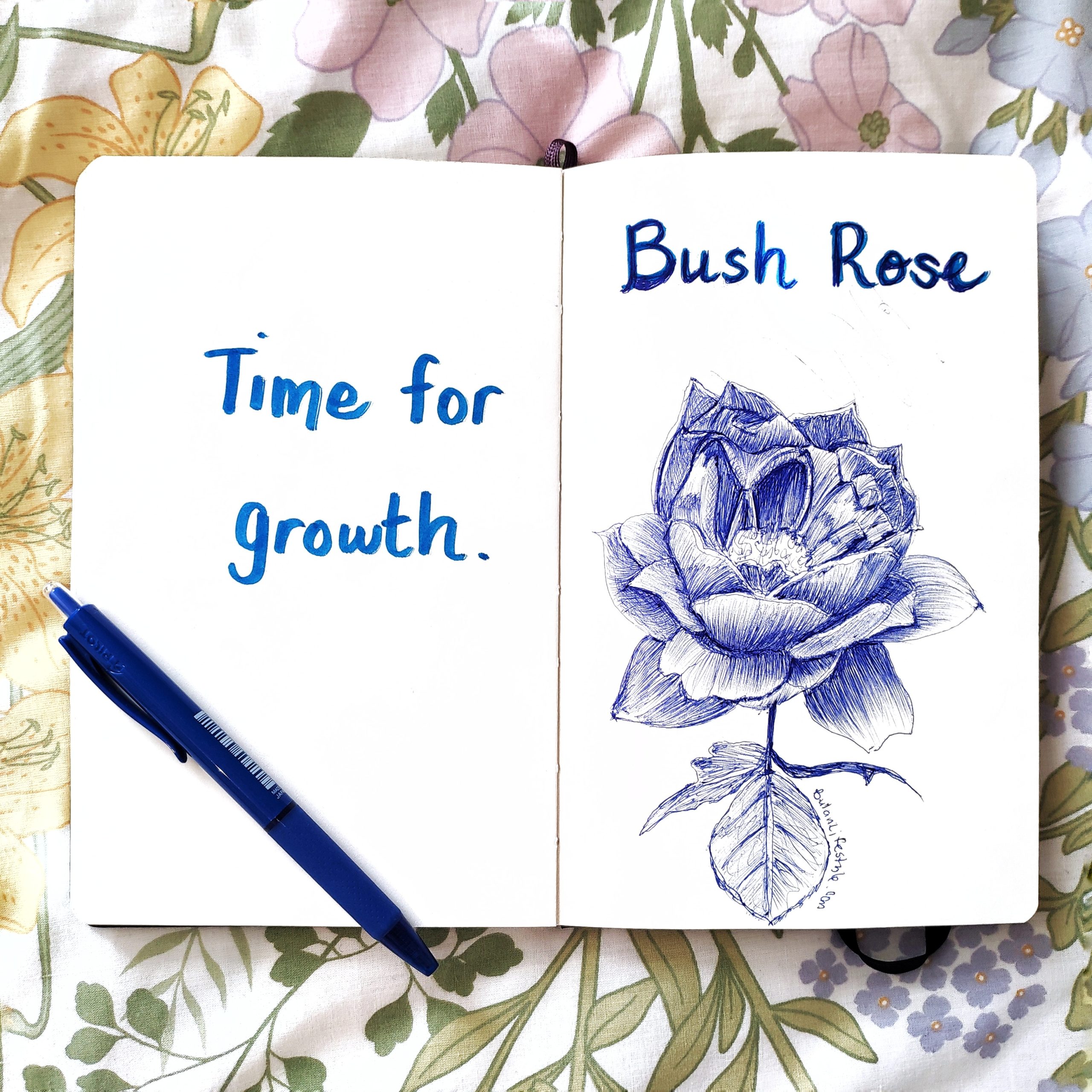 Bush rose