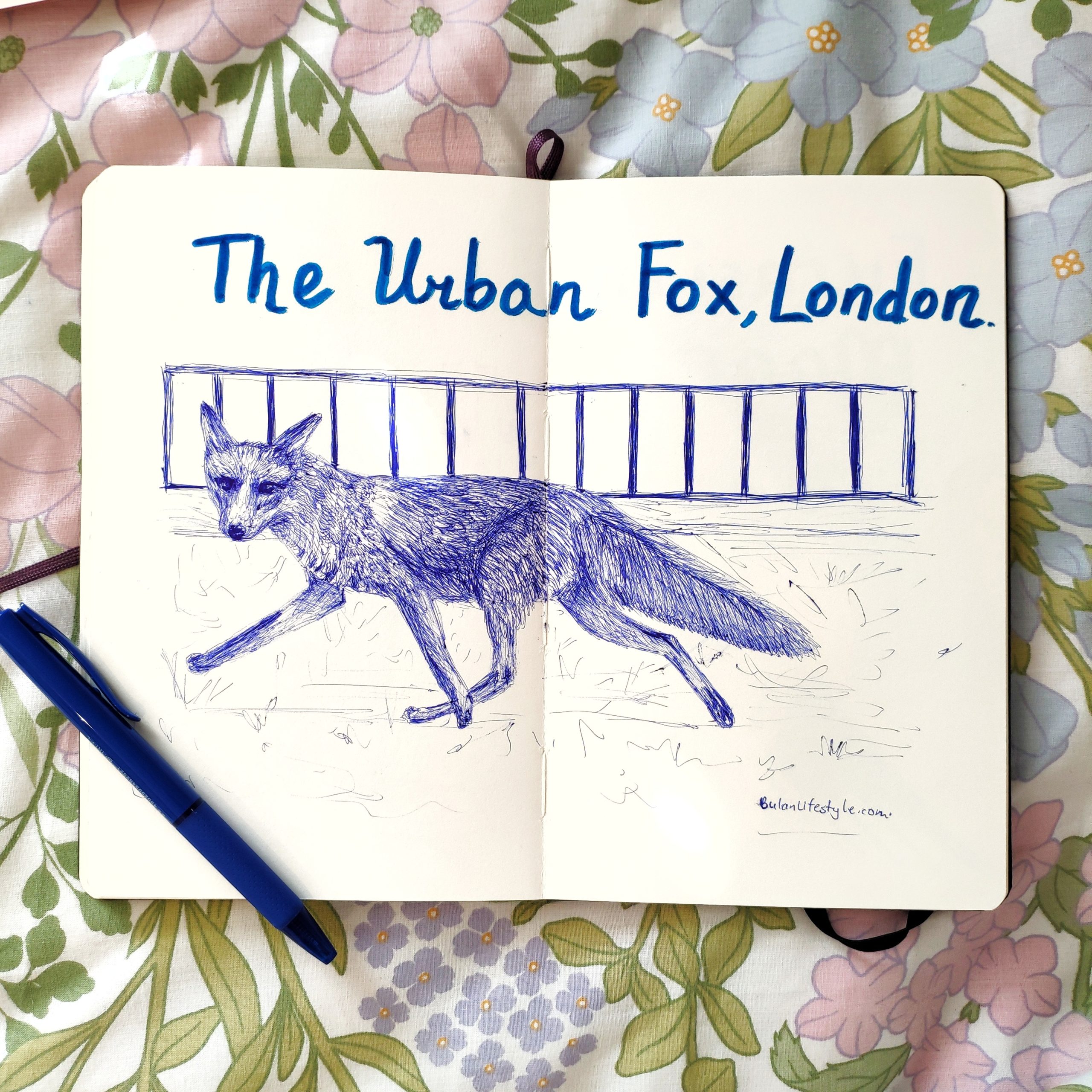 Urban fox