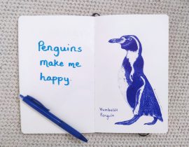 Humboldt Penguin