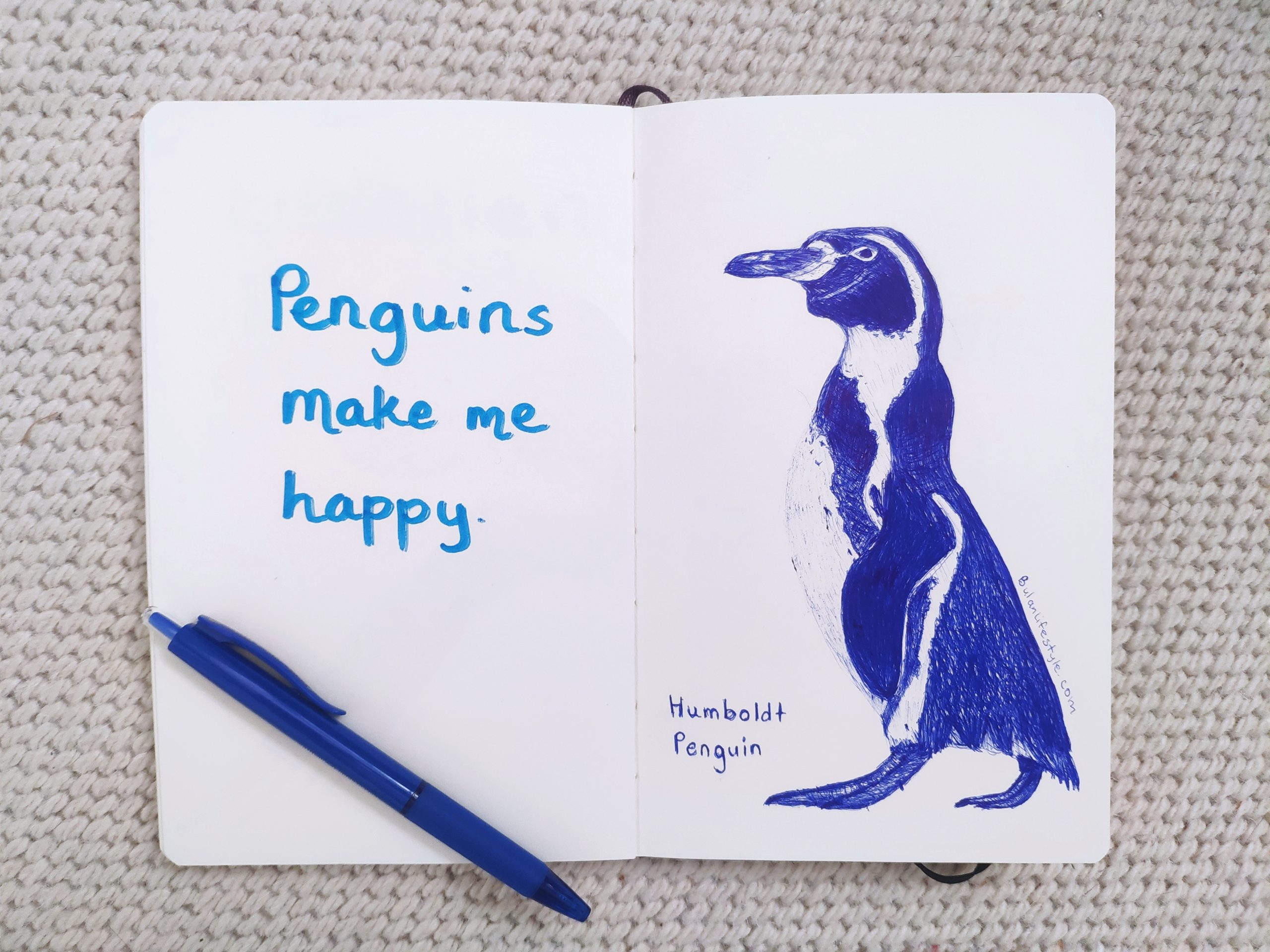 Humboldt Penguin