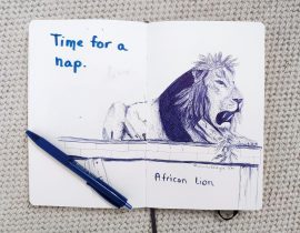 Lion