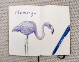 Flamingo