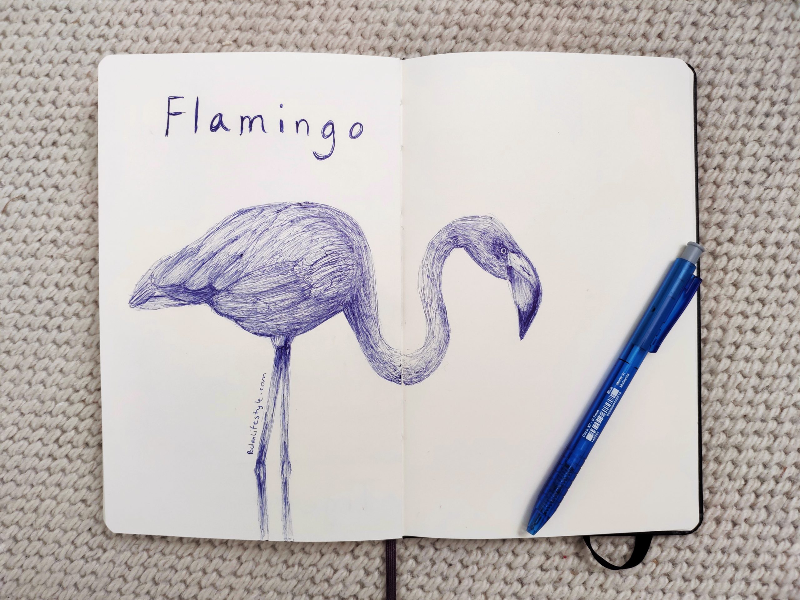 Flamingo