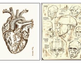 heart&maladies