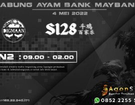 Sabung Ayam Bank Maybank S128 4 Mei 2022