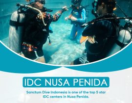 Idc Nusa Penida