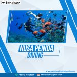 Nusa Penida Diving