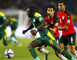Senegal Sang Raja Afrika Berambisi Juara Piala Dunia Qatar 2022