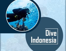 Dive Indonesia