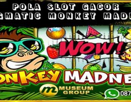Pola Slot Gacor Pragmatic Monkey Madness