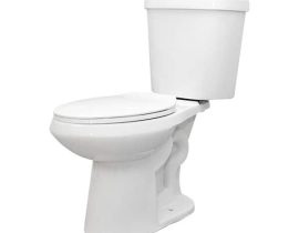 toilet adviser