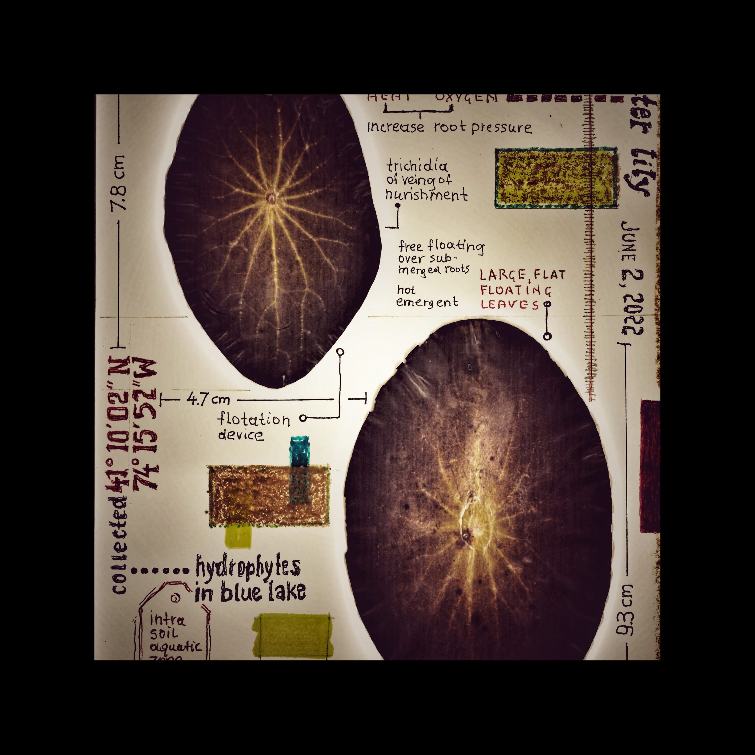 botanistatic