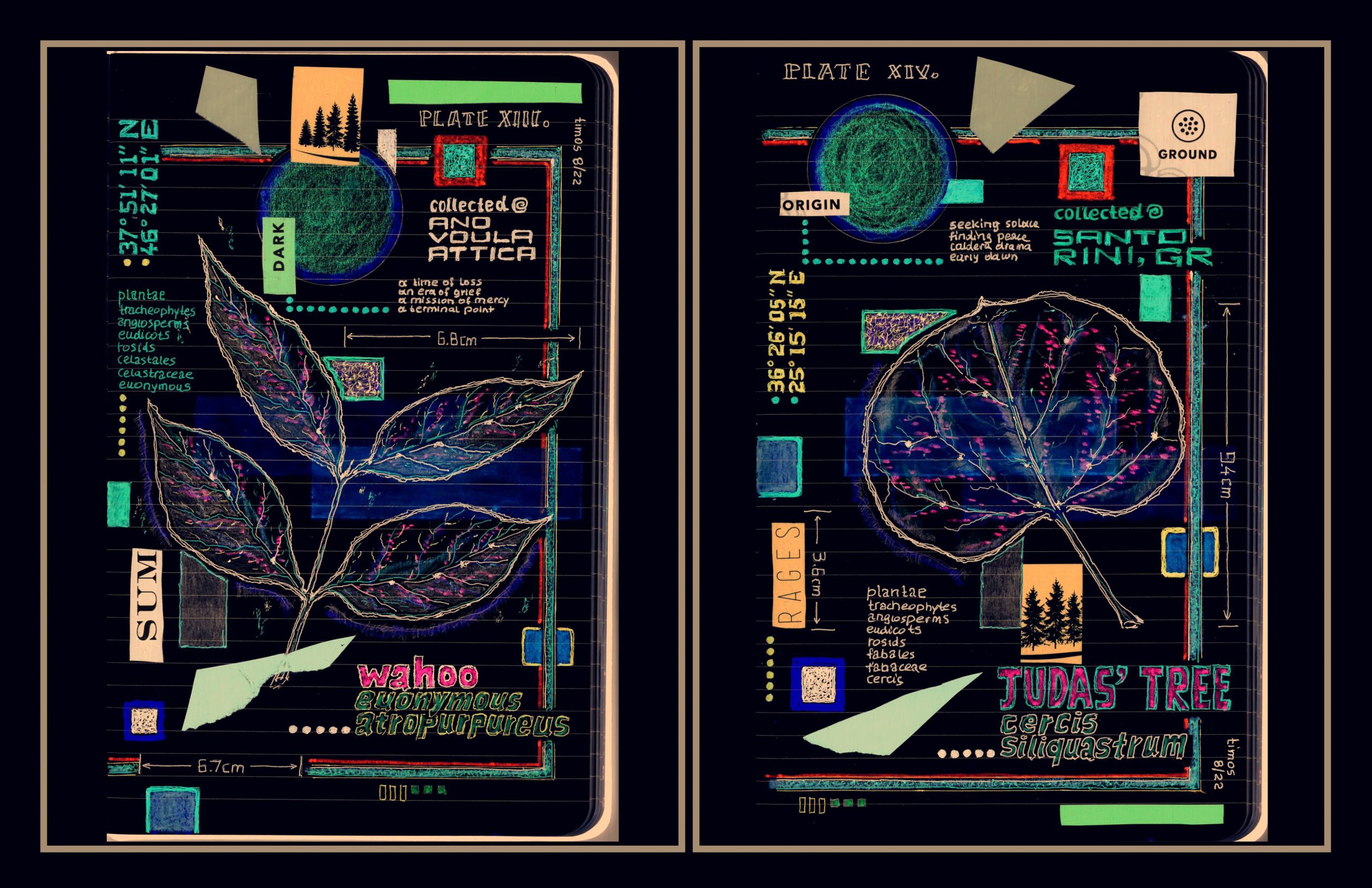 botanology