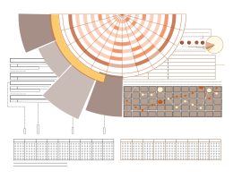 foundations of an infographic