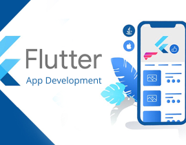 flutter developers