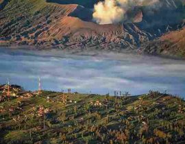 Mount Bromo Tour, East Java Indonesia